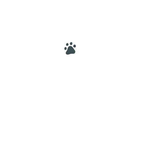 DriveFit